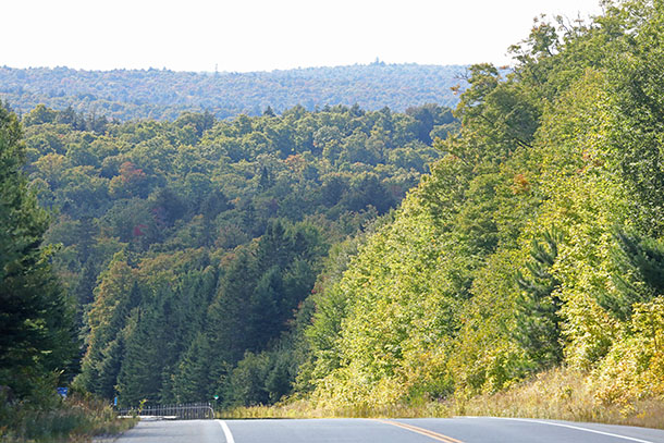 At km 16 of Highway 60 in Algonquin Park on September 10, 2024