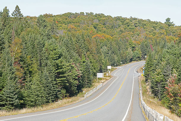 At km 20 of Highway 60 in Algonquin Park on September 10, 2024
