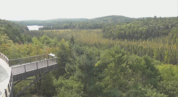 View from the observation deck at the Algonquin Park Visitor Centre in Algonquin Park on September 12, 2024 (click to enlarge). 