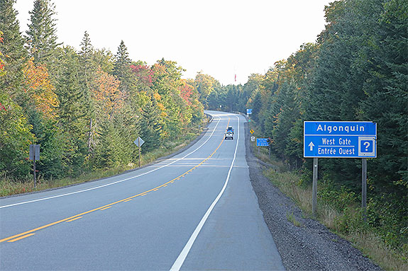 Fall colour in Algonquin Park on September 13, 2024Image: Highway 60 at the West Gate in Algonquin Park on September 13, 2024 (click to enlarge). 