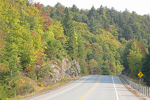 Highway 60 near the Harwood Lookout Trail in Algonquin Park on September 13, 2024 (click to enlarge). 