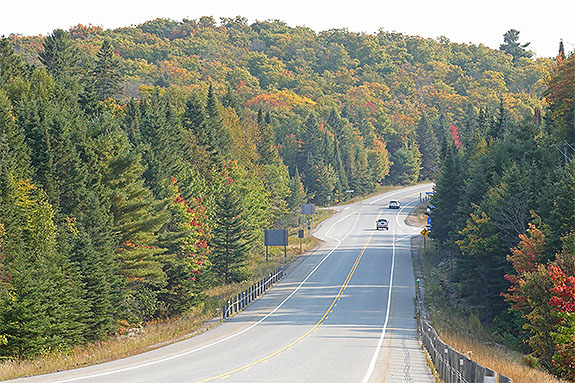 At km 20 of Highway 60 in Algonquin Park on September 13, 2024 (click to enlarge). 