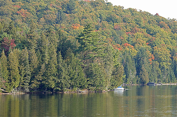 At Tea Lake in Algonquin Park on September 13, 2024 (click to enlarge). 