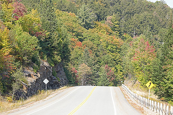 At km 13 of Highway 60 in Algonquin Park on September 16, 2024