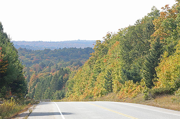 At km 16 of Highway 60 in Algonquin Park on September 16, 2024