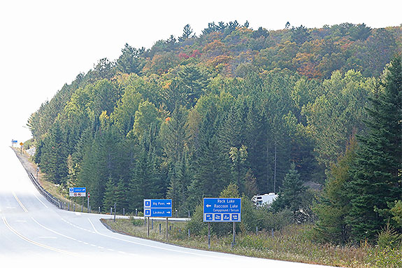 At km 40 of Highway 60 in Algonquin Park on September 16, 2024