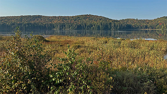Brewer Lake in Algonquin Park on September 16, 2024