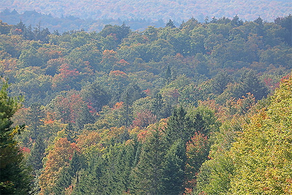 Near Smoke Lake in Algonquin Park on September 16, 2024