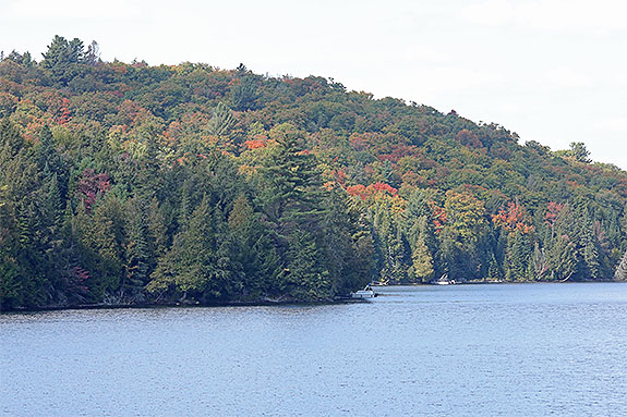 Tea Lake in Algonquin Park on September 16, 2024