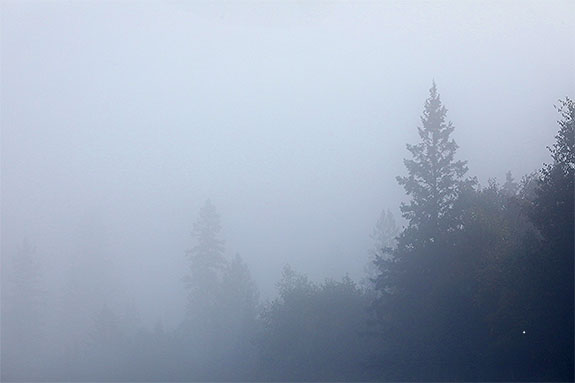 Foggy morning at km 8 of Highway 60 in Algonquin Park on September 18, 2024