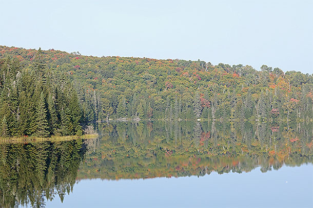 Brewer Lake in Algonquin Park on September 19, 2024.