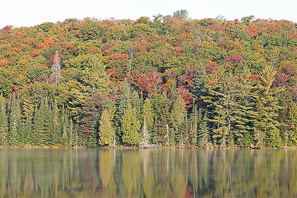 Tea Lake in Algonquin Park on September 19, 2024.