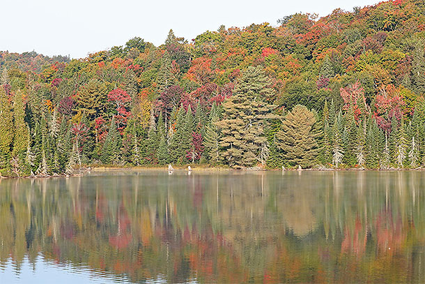 At km 10 of Highway 60 in Algonquin Park on September 19, 2024.
