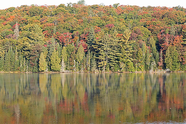 At km 10 of Highway 60 in Algonquin Park on September 19, 2024.