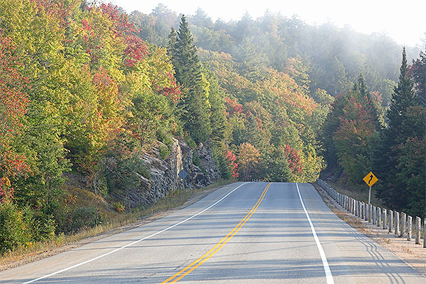 At km 13 of Highway 60 in Algonquin Park on September 19, 2024.