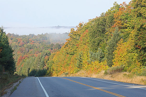 At km 16 of Highway 60 in Algonquin Park on September 19, 2024.