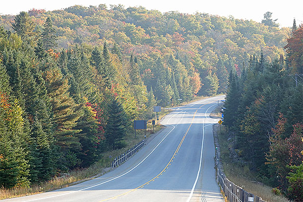 At km 20 of Highway 60 in Algonquin Park on September 19, 2024.