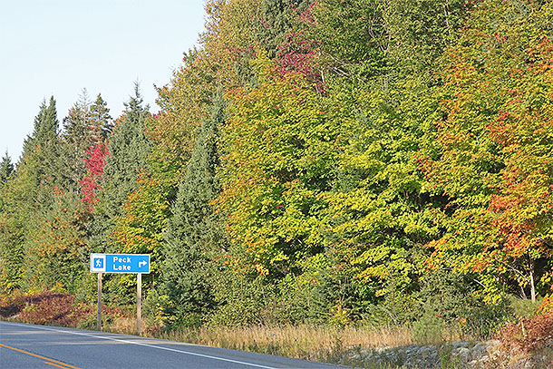 Near Peck Lake Trail in Algonquin Park on September 19, 2024.