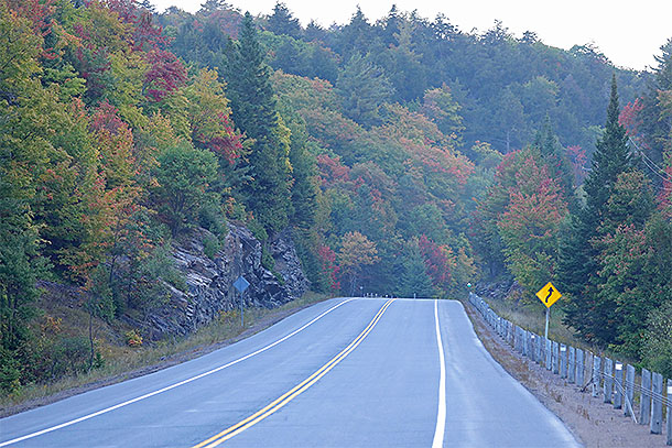Rainy morning at km 13 of Highway 60 in Algonquin Park on September 21, 2024. 
