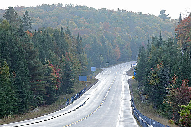 Rainy conditions at km 20 of Highway 60 in Algonquin Park on September 21, 2024. (click to enlarge). 