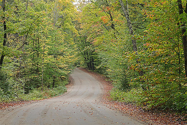 Along the Arowhon Road in Algonquin Park on September 24, 2024.