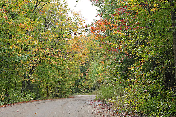 Along the Arowhon Road in Algonquin Park on September 24, 2024.