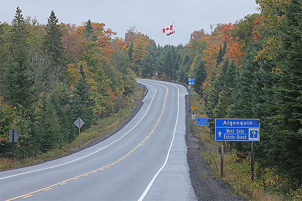 At the West Gate of Algonquin Park on September 24, 2024.