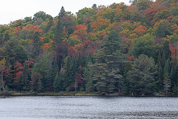 Tea Lake in Algonquin Park on September 24, 2024.