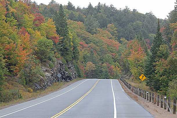 At km 13 of Highway 60 in Algonquin Park on September 24, 2024. 