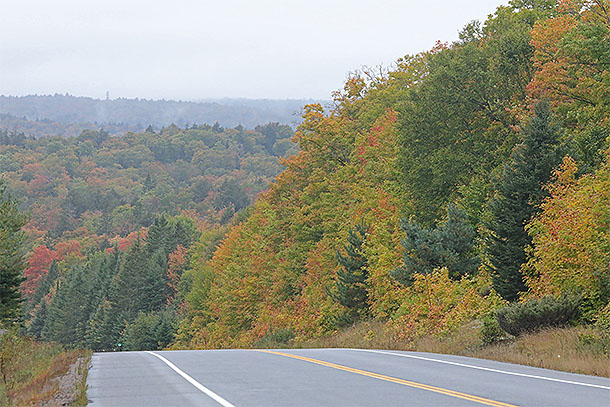 At km 16 of Highway 60 in Algonquin Park on September 24, 2024