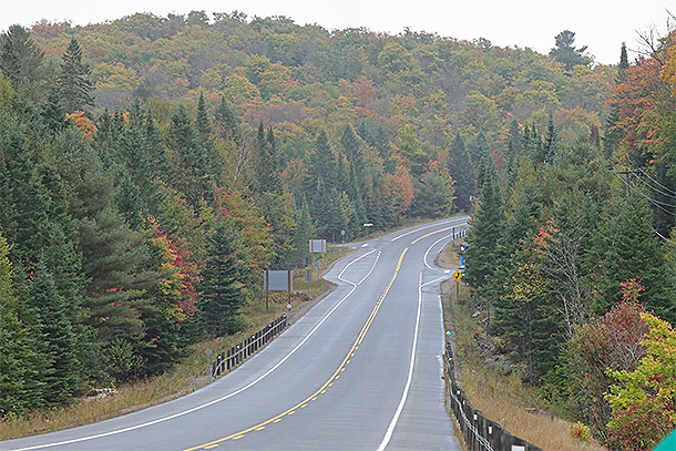 At km 20 of Highway 60 in Algonquin Park on September 24, 2024.