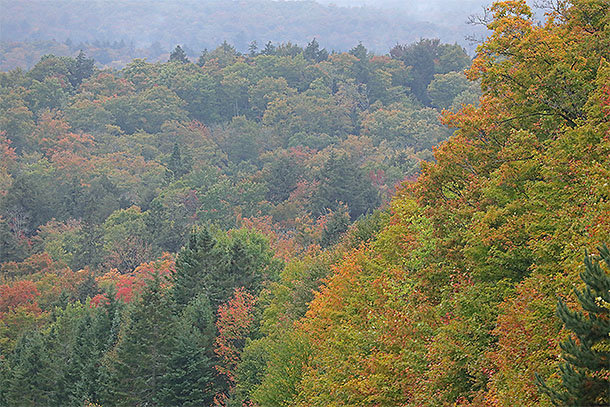 Near Smoke Lake in Algonquin Park on September 24, 2024