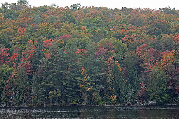 Tea Lake in Algonquin Park on September 24, 2024.
