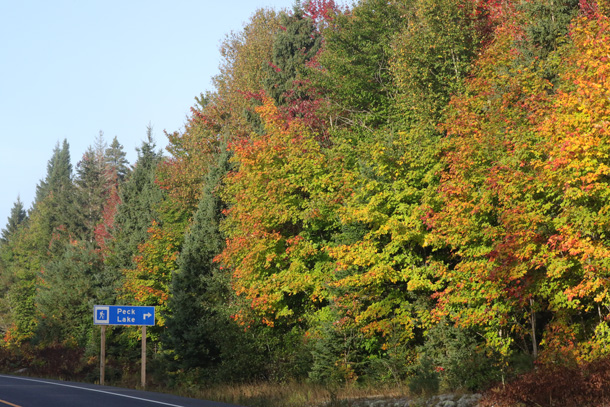 Fall colour along Highway 60 in Algonquin Park on September 27, 2024