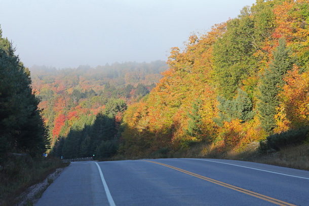 Foggy morning at km 16 of Highway 60 in Algonquin Park on September 29, 2024.