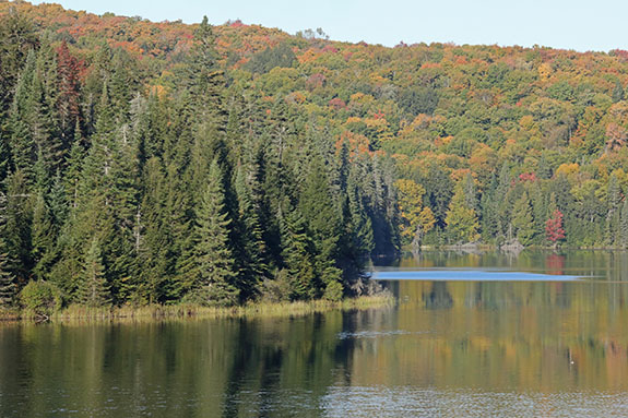 At Brewer Lake in Algonquin Park on September 30, 2024.