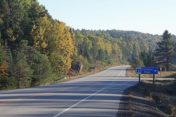 Increasing poplar fall colour at km 38 of Highway 60 in Algonquin Park on September 30, 2024.