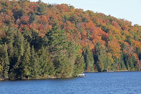 At Tea Lake in Algonquin Park on September 30, 2024.