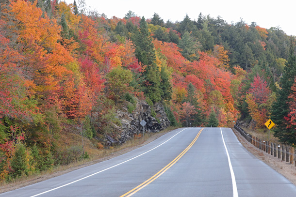 Fall colour at km 13 of Highway 60 in Algonquin Park on October 7, 2024.