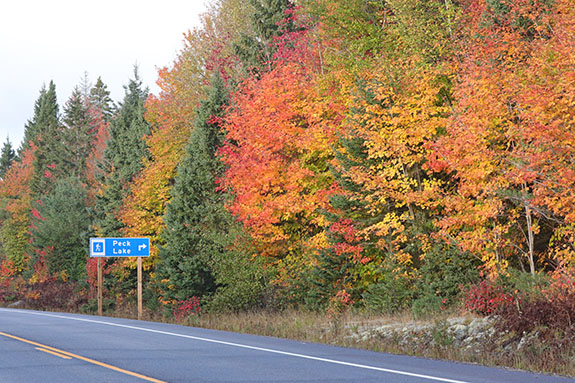 At km 19 of Highway 60 in Algonquin Park on October 7, 2024.