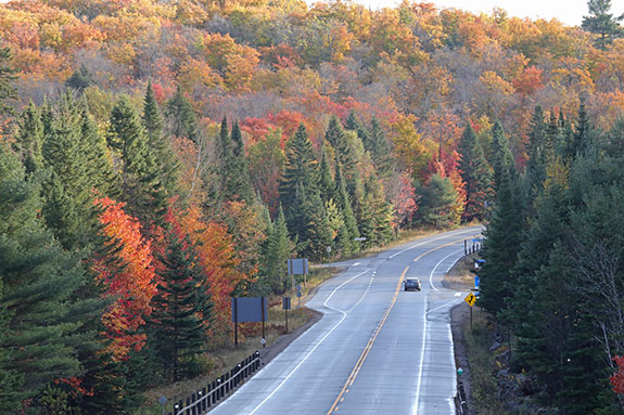 At km 20 of Highway 60 in Algonquin Park on October 7, 2024.