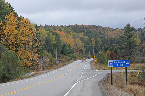 At km 38 of Highway 60 in Algonquin Park on October 7, 2024.