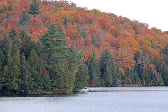 Tea Lake in Algonquin Park on October 7, 2024.