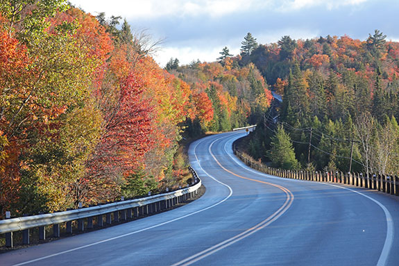 Approaching the West Gate of Algonquin Park on October 7, 2024.