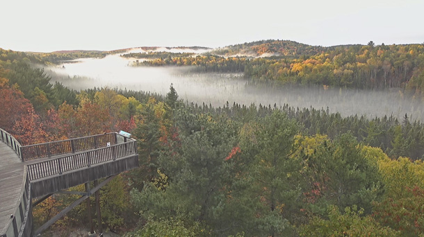Foggy fall colour morning at the Algonquin Park Visitor Centre in Algonquin Park on October 11, 2024