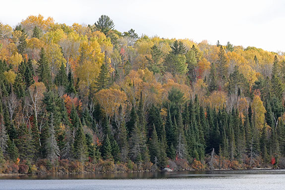 Costello Lake in Algonquin Park on October 14, 2024. 