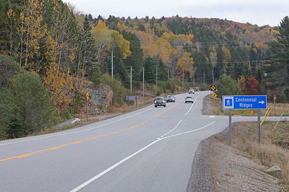At km 37 of Highway 60 in Algonquin Park on October 14, 2024. 