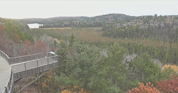 Frosty fall morning at the Algonquin Park Visitor Centre on October 23, 2024.