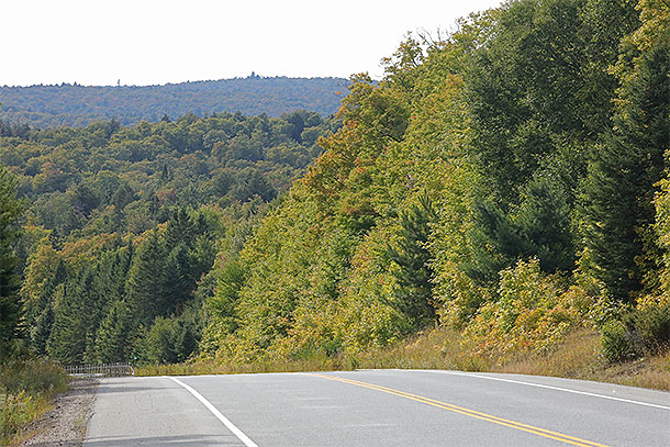 At km 16 of Highway 60 in Algonquin Park on September 10, 2025 (click to enlarge). 