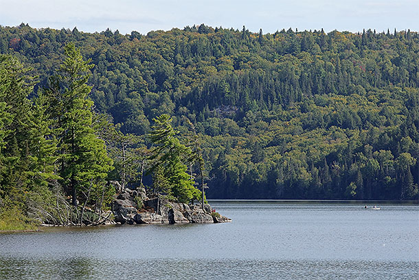 At Lake of Two Rivers in Algonquin Park on September 10, 2025 (click to enlarge). 